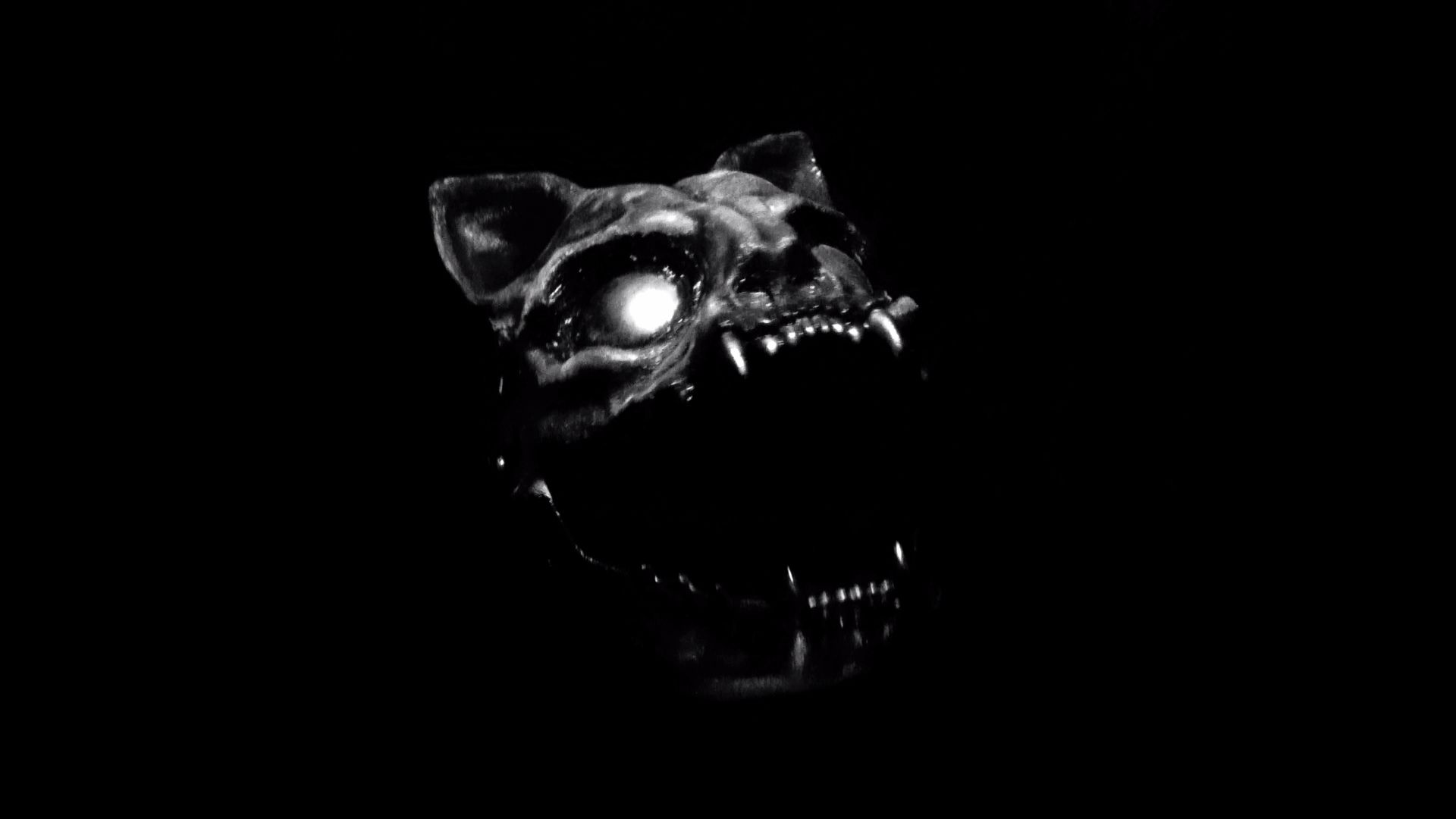 Evil Cat (2021)