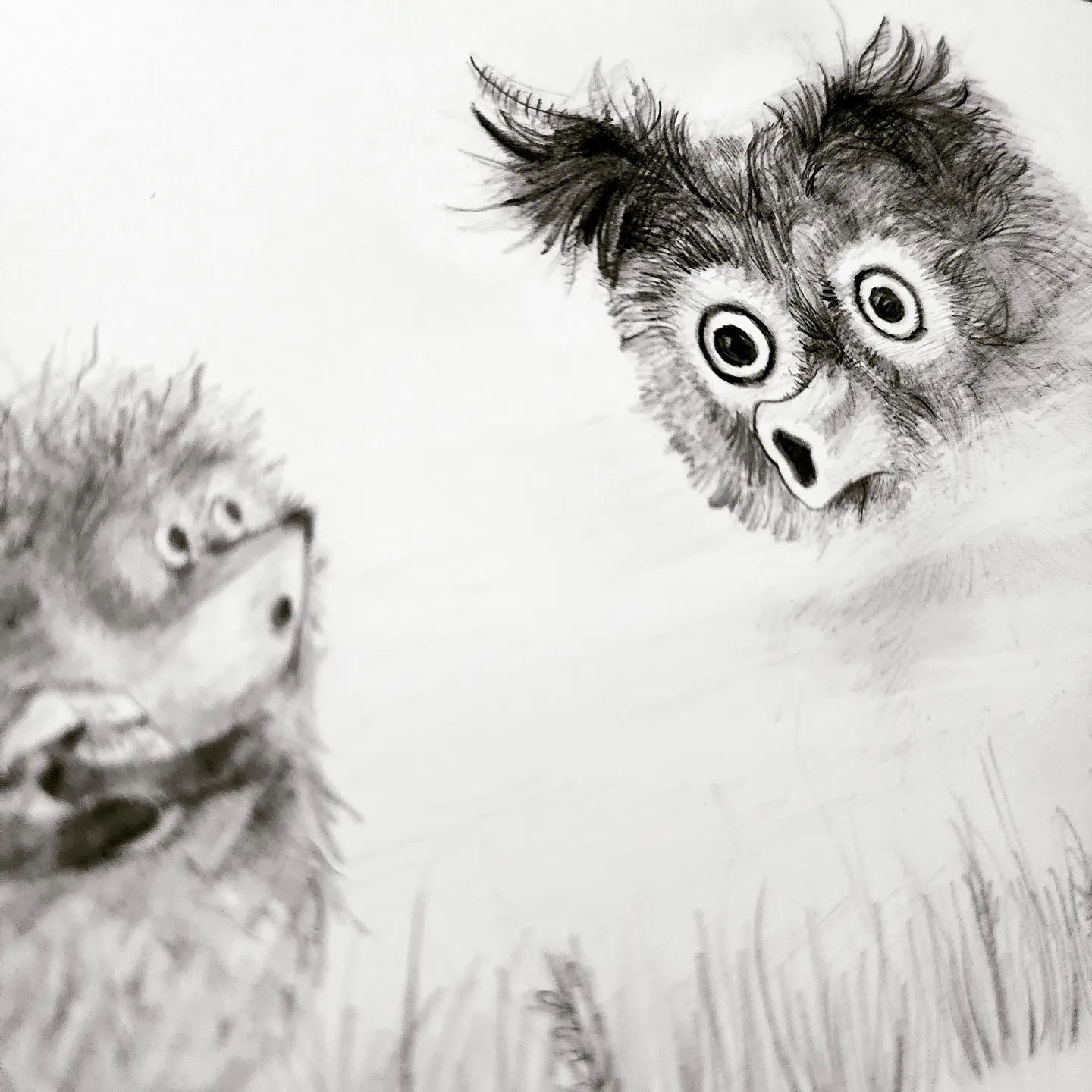 Close-up of Study from Hedgehog in the Fog (2022)